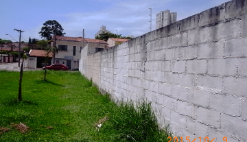 M0250 8.JPG